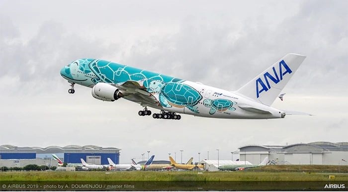 新素材新作 ANA フライングホヌ エメラルドグリーン AIRBUS A380