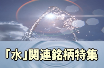 水ビジネスの関連領域としては、上下水道のインフラ・高度処理設備（上下水道菅、浄水場、下水処理場）、海水淡水化プラント、産業排水の処理・再利用設備、工業用純水製造装置、下水汚泥の再資源化設備、河川・湖沼などの水質浄化設備、農業用水・灌漑設備、および水中ポンプ・水処理膜（逆浸透膜、精密ろ過膜など）・薬品・吸着剤・微生物などの部材、上下水道の運営管理・料金徴収サービスなどがある。