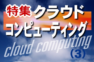 クラウドサービスでは、利用者は高額なサーバーやソフトウェアを自前で持つ必要がないため、インフラ投資を必要としない。したがって企業が利用者の場合には、情報システム関連の構築・運用のためのコストを大幅に低減でき、開発から運用開始までの時間も大幅に短縮できるなどのメリットがある。