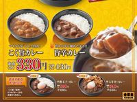 吉野家、2 つの味のカレーを来月2日に新発売　並盛330円から