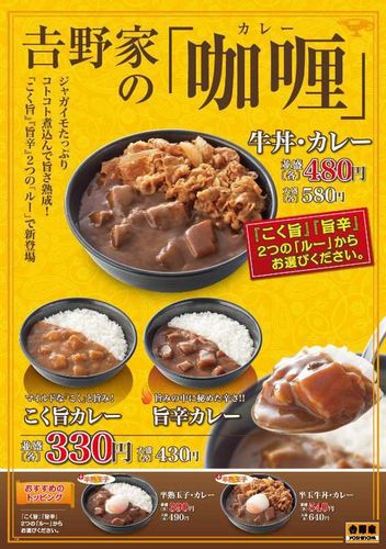 吉野家、2 つの味のカレーを来月2日に新発売　並盛330円から