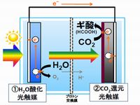 人工光合成の概念図（画像提供：豊田中央研究所）