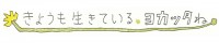 ELTTOB TEP ISSEY MIYAKE / GINZAで黒田征太郎氏による特別展示・イベント開催