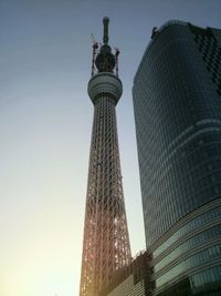 東京スカイツリー（写真：財経新聞社）