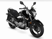 中国における新しいフラッグシップモデルの250ccの本格ロードバイク「GW250」（画像提供：スズキ）