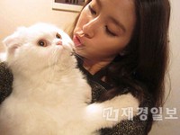 韓国女優キム・ソウンが愛猫のクンにキスしているセルフショットを公開した。写真=キム・ソウンのツイッター