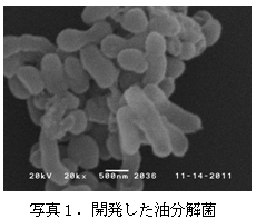 グリーン・コミュニティの実現を目指す国際航業ホールディングス＜９２３４＞（東１）傘下の国際環境ソリューションズ株式会社は・・・。