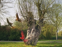 タカ・イシイギャラリーでマライケ・ファンヴァルメルダムの初個展「Haru」開催