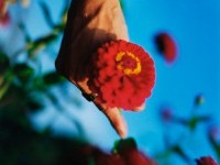 蜷川実花が村上隆のGEISAI#16に急遽参戦決定