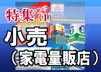 家電量販店業界では、１０年から１１年にかけて、家電エコポイント制度に伴う特需や、地上デジタル放送への完全移行（１１年７月２４日、東北３県を除く）に伴う特需の恩恵を受けた。