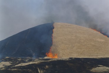 東京都写真美術館で首都圏初となる川内倫子の個展「照度 あめつち 影を見る」開催