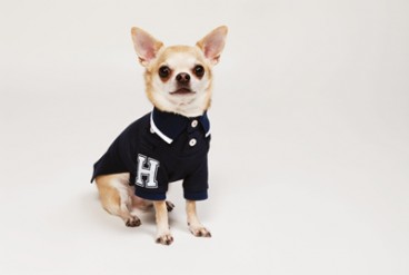 トミー ヒルフィガーよりドッグコレクションが登場 - プレッピーなデザインとクオリティが魅力