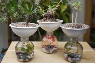 千駄ヶ谷2【Ni】で、ハンドメイドの素敵な植物を展示販売、夏季の夜営業もスタート