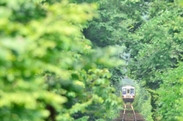 ニコンイメージングジャパンは、7月18日から31日にかけて、仙台市青葉区にあるニコンプラザ仙台で、鉄道写真家の中井精也氏による鉄道写真展「DREAM TRAIN(ドリームトレイン)」「走れ、さんてつ！」を開催する。