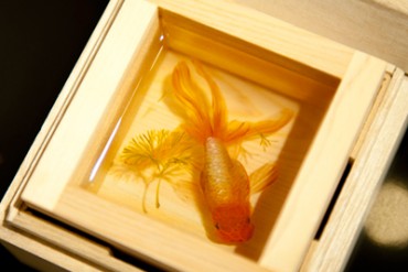 まとふ(matohu)の表参道本店1周年、店内には天の川を悠々と泳ぐ金魚