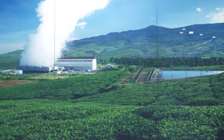広大な茶畑の中にあるワヤン・ウィンドウ地熱発電所（写真：三菱商事）