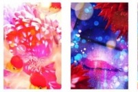 蜷川実花監修のカメラアプリにクリスマスバージョンが登場