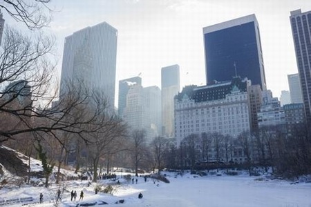 真冬のニューヨークが魅力的!雪景色のセントラルパークへご案内。