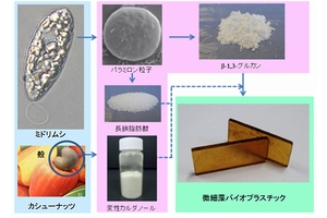 ミドリムシ/カシューナッツ殻から微細藻バイオプラスチックへの製造工程（画像：NEC）