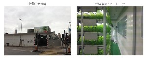 三菱化学は4日、植物工場システムを香港のベジタブル・マーケティング・オーガナイゼーション（VMO）に販売したと発表した。写真は、三菱化学が公開した植物工場の外観と栽培中のベビーリーフ。
