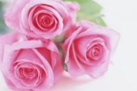 ついに登場!ディズニー・コスメティック【Beautifully Disney】