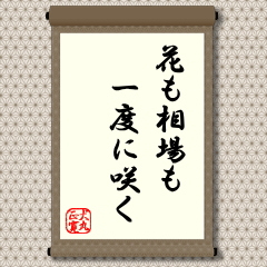 冬を好んで咲く花、夏だけに咲く花、花にもいろいろです。しかし、ほとんどの花は４～５月の春爛漫に咲き競います。相場も似たところがあって不景気の冬の時代から景気回復の春になると多くの銘柄が一斉に乱舞します。