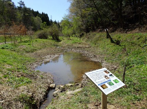 埼玉製作所寄居工場 東側ビオトープ(写真:ホンダ) 埼玉製作所寄居工場 東側ビオトープ(写真:ホンダ)