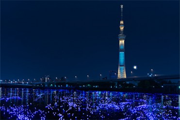 夜の隅田川に煌めく、10万の光のシンフォニー「東京ホタル」5月25日に開催