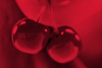 大塚 愛 まさかのセルフカバーで10年後の「さくらんぼ」完成