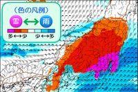 日本気象協会が公開した雨雪の分布予想(15日朝)