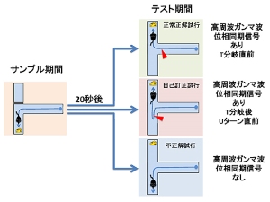 理研が今回の研究で実施したT型迷路空間ワーキングメモリ課題の概要を示す図