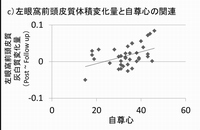 左眼窩前頭皮質体積の変化量と自尊心の関連を示す図。東北大の発表資料より。