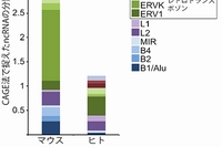 CAGE法で決定したRNA配列を既知のレトロトランスポゾンと比較し、分類したグラフ。