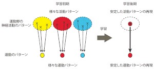 学習における活動パターンの変化を示す模式図。学習初期には、試行ごとにさまざまな神経活動のパターンと運動パターンが試される。学習の過程でこの活動と運動の関連性が改められ、学習された運動パターンに特化した活動パターンが試行ごとに再現されるようになる。