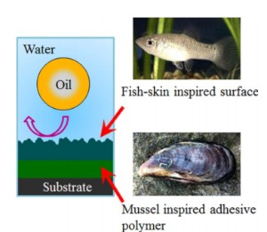 九州大学の高原淳主幹教授らが開発した水中で汚れが付きにくい材料が、水中で超撥油性を示すことを示した図