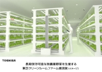 長期保存可能な無農薬野菜を生産する東芝の植物工場のイメージ（東芝の発表資料より）