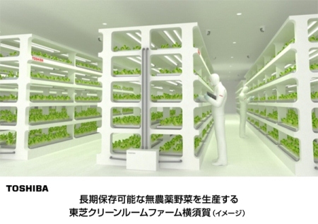 長期保存可能な無農薬野菜を生産する東芝の植物工場のイメージ（東芝の発表資料より）