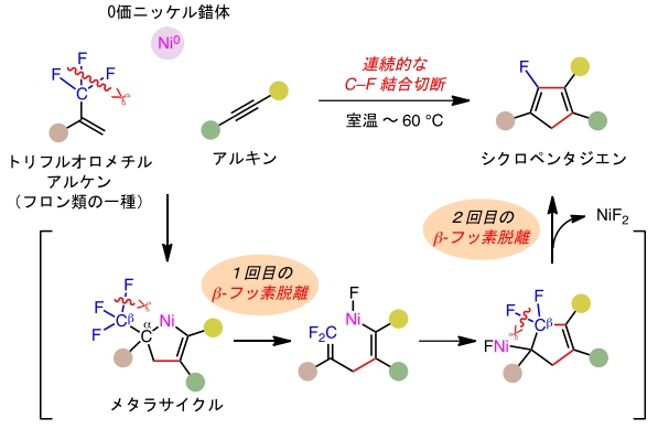 フロン類の1種であるトリフルオロメチルアルケンを分解し、シクロペンタジエンを得る化学反応の過程を示す図（筑波大学の発表資料より）