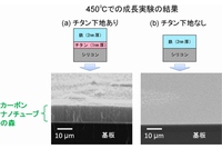 SPring-8でのカーボンナノチューブの“森”の成長実験の結果。(a)で、基板の上にある絨毯の毛のような部分が、カーボンナノチューブの“森”。無数のカーボンナノチューブが、基板の表面に対して垂直に並んでいる。（産業技術総合研究所の発表資料より）