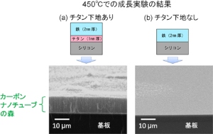 SPring-8でのカーボンナノチューブの“森”の成長実験の結果。(a)で、基板の上にある絨毯の毛のような部分が、カーボンナノチューブの“森”。無数のカーボンナノチューブが、基板の表面に対して垂直に並んでいる。（産業技術総合研究所の発表資料より）