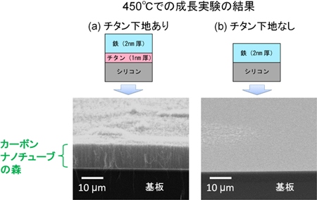 SPring-8でのカーボンナノチューブの“森”の成長実験の結果。(a)で、基板の上にある絨毯の毛のような部分が、カーボンナノチューブの“森”。無数のカーボンナノチューブが、基板の表面に対して垂直に並んでいる。（産業技術総合研究所の発表資料より）