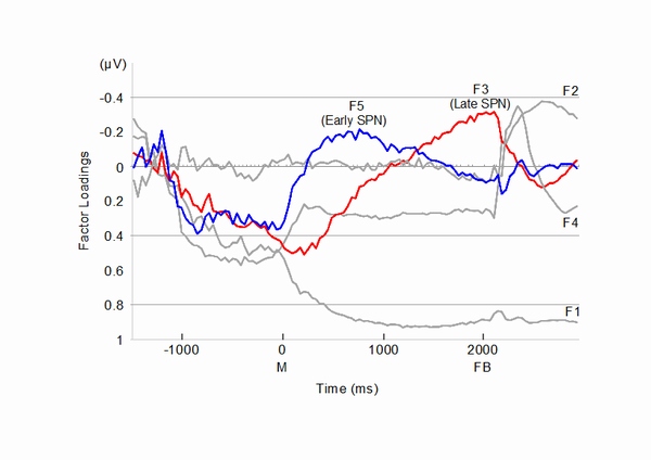 言葉や記号の出現に備えた場合の脳活動（Late SPN・F3・赤線）が FBの直前で大きくなるのに対し、顔の場合（Early SPN・F5・青線）は、1秒以上も前から脳活動が大きくなっている（東京工業大学の発表資料より）