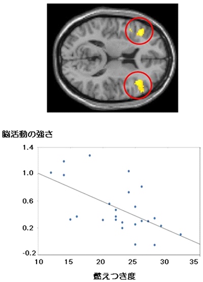 脳活動強度と燃え尽きレベルの関係を示した図（京都大学の発表資料より）