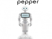 パーソナルロボット「Pepper」。サイズは1210×425×485mm、重量は28kg。世界初の感情を認識するロボットだ。