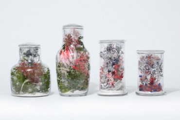 おとぎの世界がビンの中に！幻想的なテラリウムがパスザバトンで展示・販売
