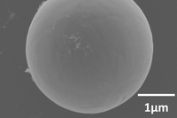 研究グループが作製したZnO真球単結晶の走査型電子顕微鏡像（大阪大学の発表資料より）