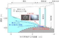 今回の研究で明らかになったラングホブデ氷河の断面図と研究成果の概要（北海道大学の発表資料より）