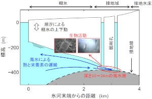 今回の研究で明らかになったラングホブデ氷河の断面図と研究成果の概要（北海道大学の発表資料より）