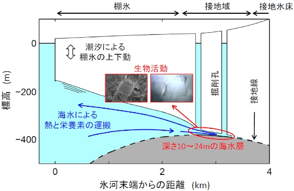 今回の研究で明らかになったラングホブデ氷河の断面図と研究成果の概要（北海道大学の発表資料より）