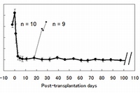 糖尿病ラットへ膵島を移植したときの血糖値の変動を示す図。（a）：ACIラットの背部の両側に人工的に作成した免疫特典部位にF344ラットから分離した膵島各1,500個移植、（b）：ACIラットの肝臓に膵島各3,000個を移植（京都大学の発表資料より）